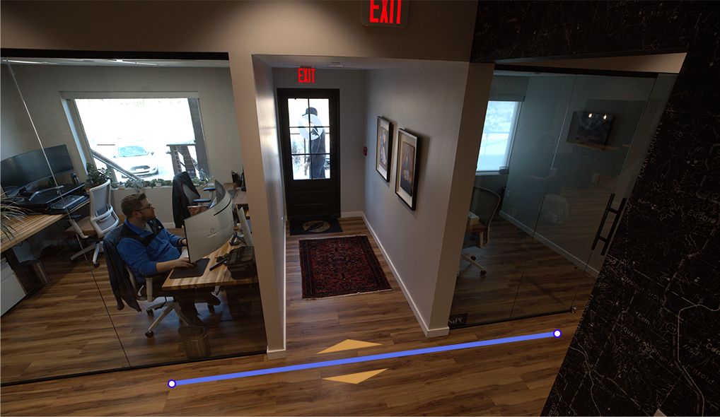 camer view edited (dome camera line).png